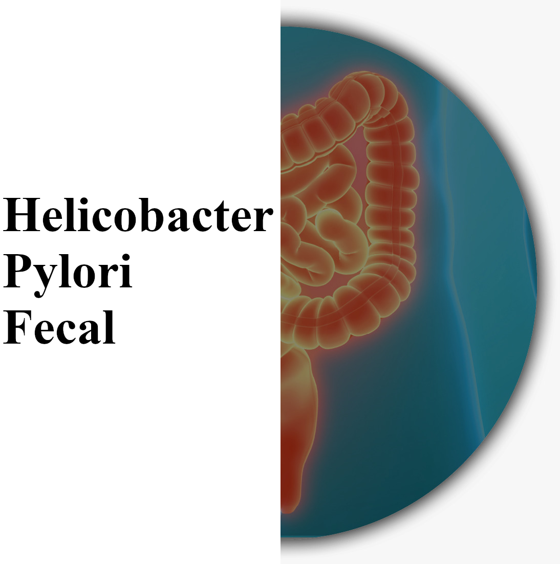 Pylori