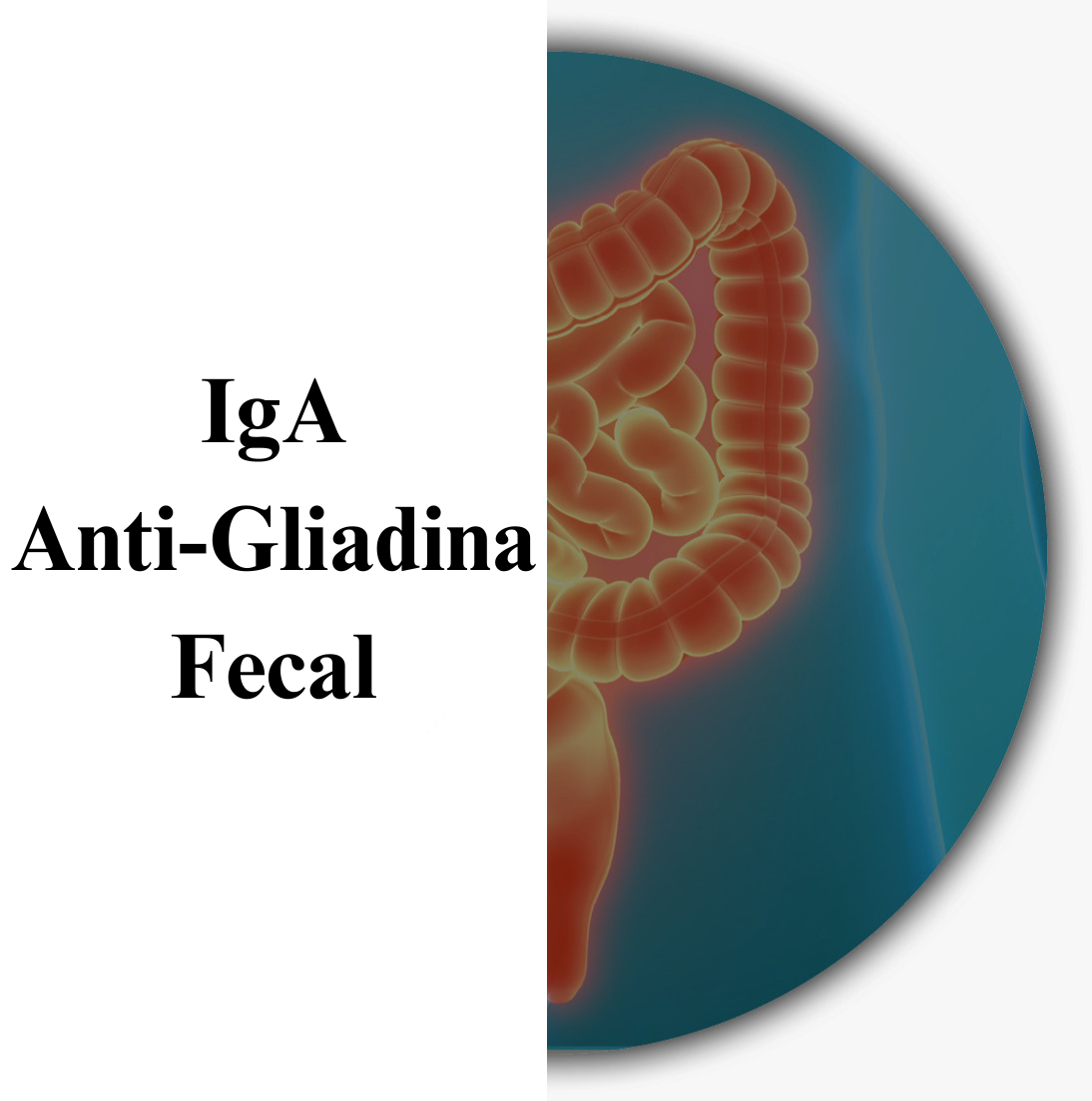 IGA_Anti-Gliadina Fecal