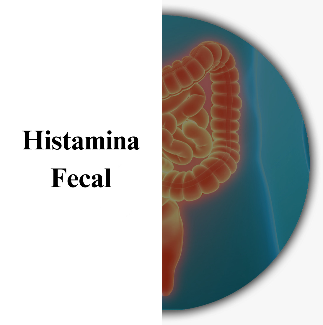 Histamina Fecal